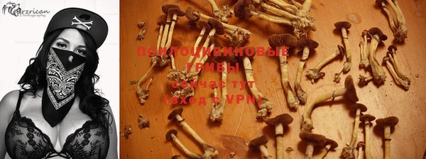 герыч Лиски