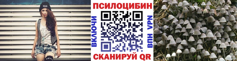 кракен ONION  Таруса  Псилоцибиновые грибы ЛСД 